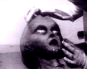 Autopsies. Infos ou Intox?